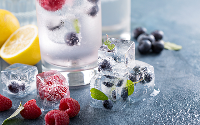 fruit+ice+cubes.png