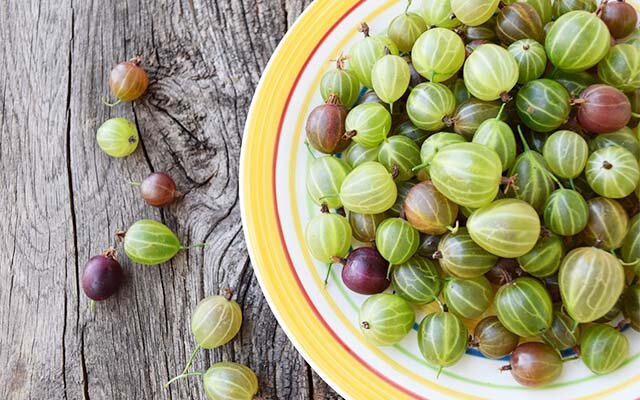 gooseberries.jpg