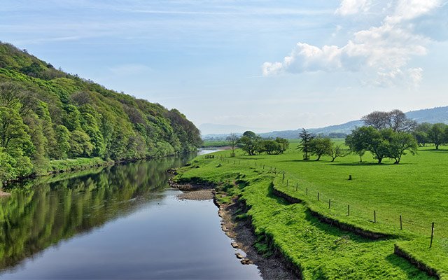 party by the river