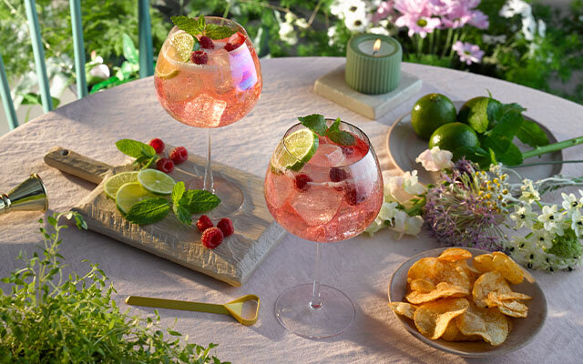 Pink gin and tonic recipe