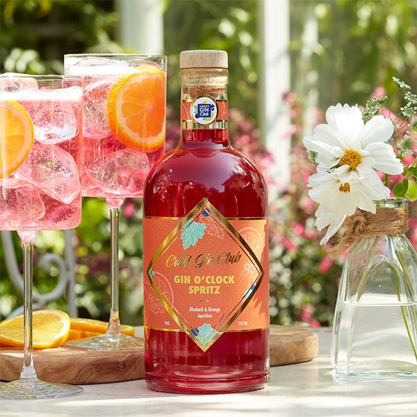 Summer gin spritz