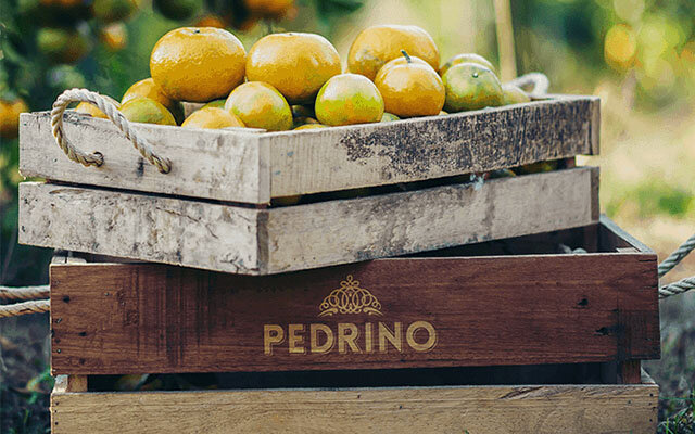 pEDRINO FRUIT 640X400.jpg