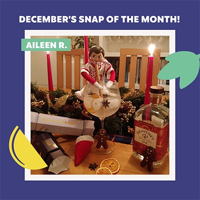 Snap of the month 