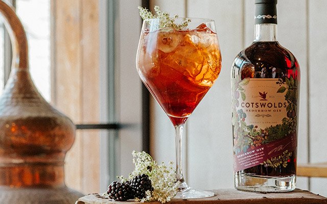 Cotswolds Dry Gin and tonic suggestion
