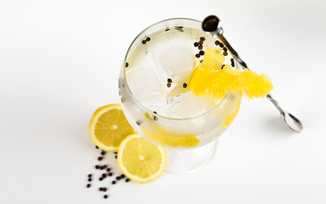 Gin and tonic in a copa glass with stirrer and lemon