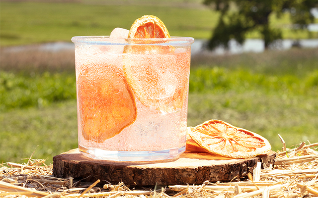 craft-gin-club-perfect-gin-tonic-july-2019.jpg