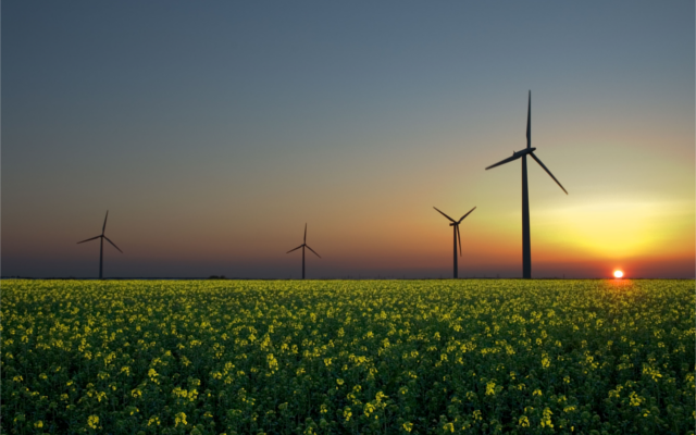 Wind turbines at sunset