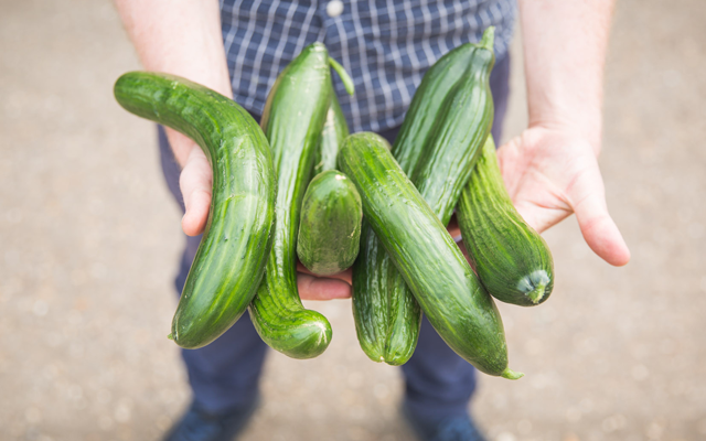 wonky+cucumbers+dash+Water.png