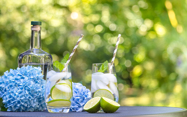 Summer Garden Party G&Ts.jpg
