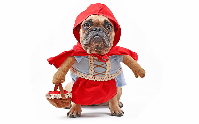 Summer Garden Party Fancy Dress.jpg