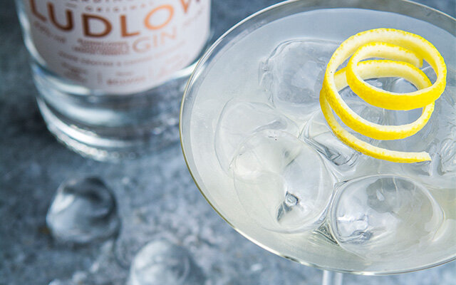 Blond Martini cocktail recipe.JPG