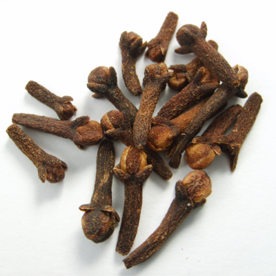 clove botanical