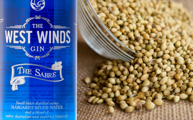 coriander gin