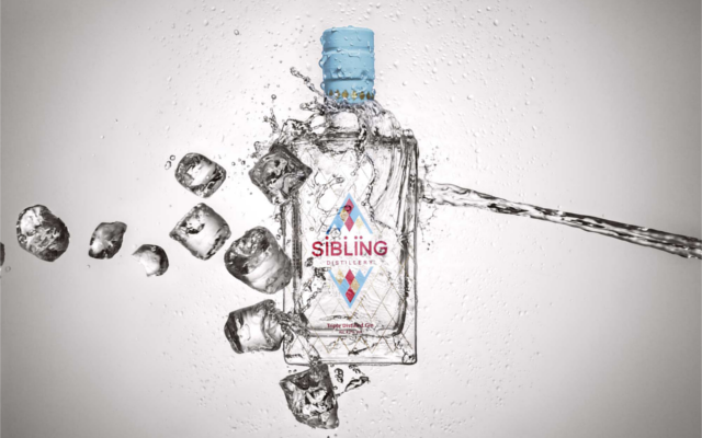 sibling gin