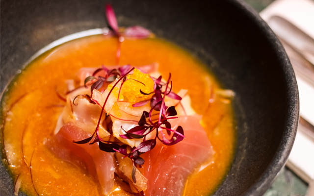 Senoirceviche.png