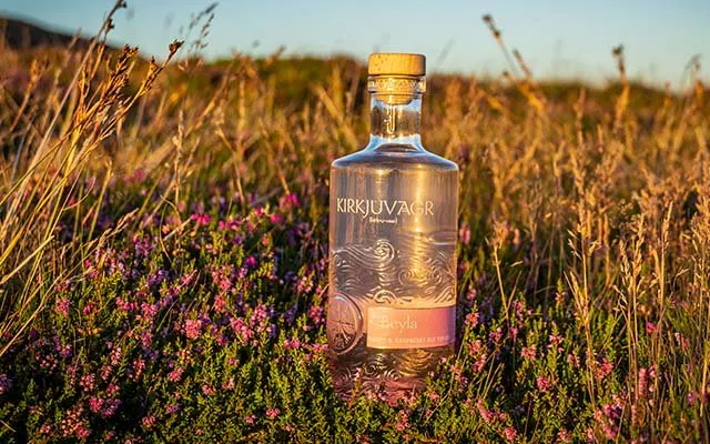 Kirk's Raspberry This Kirkjuvagr Beyla Honey & Raspberry Old Tom Gin and tonic is savin ...