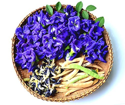 Butterfly Pea Flower Tea
