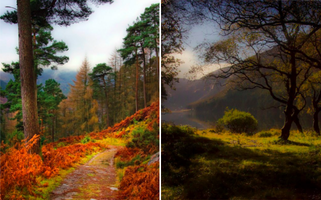 Beautiful Irish countryside Glendalough Gin estate