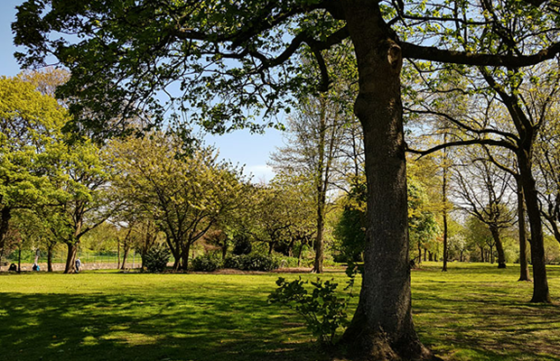 buile Park in Manchester