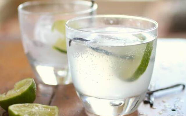 gin+and+tonic+with+vanilla+pod.png