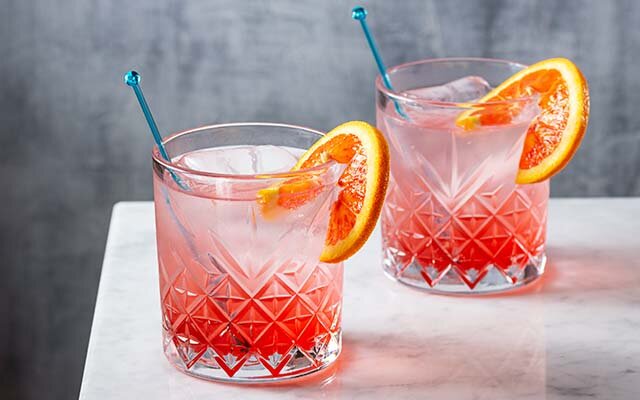 modern gin vs traditional gin