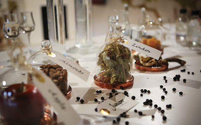 osmoz+gin+botanicals.png