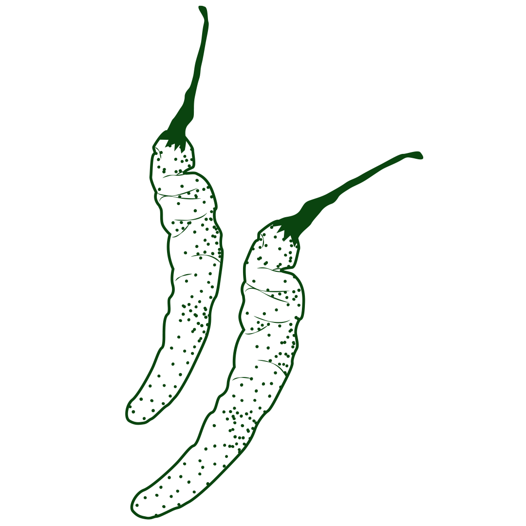 Aju Cusano.png