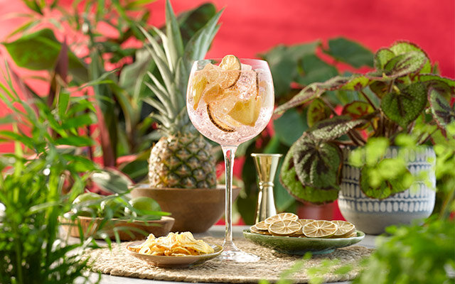 July 2020 Perfect G&T