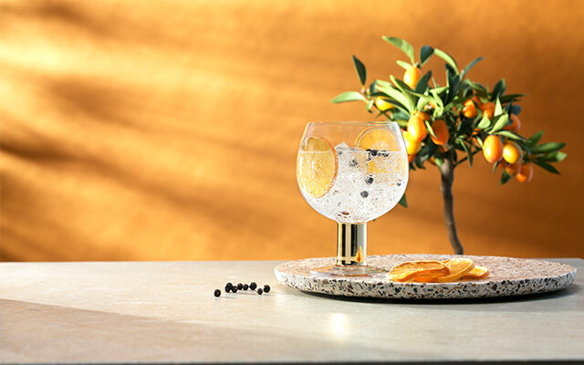 May 2020 Perfect Gin and Tonic
