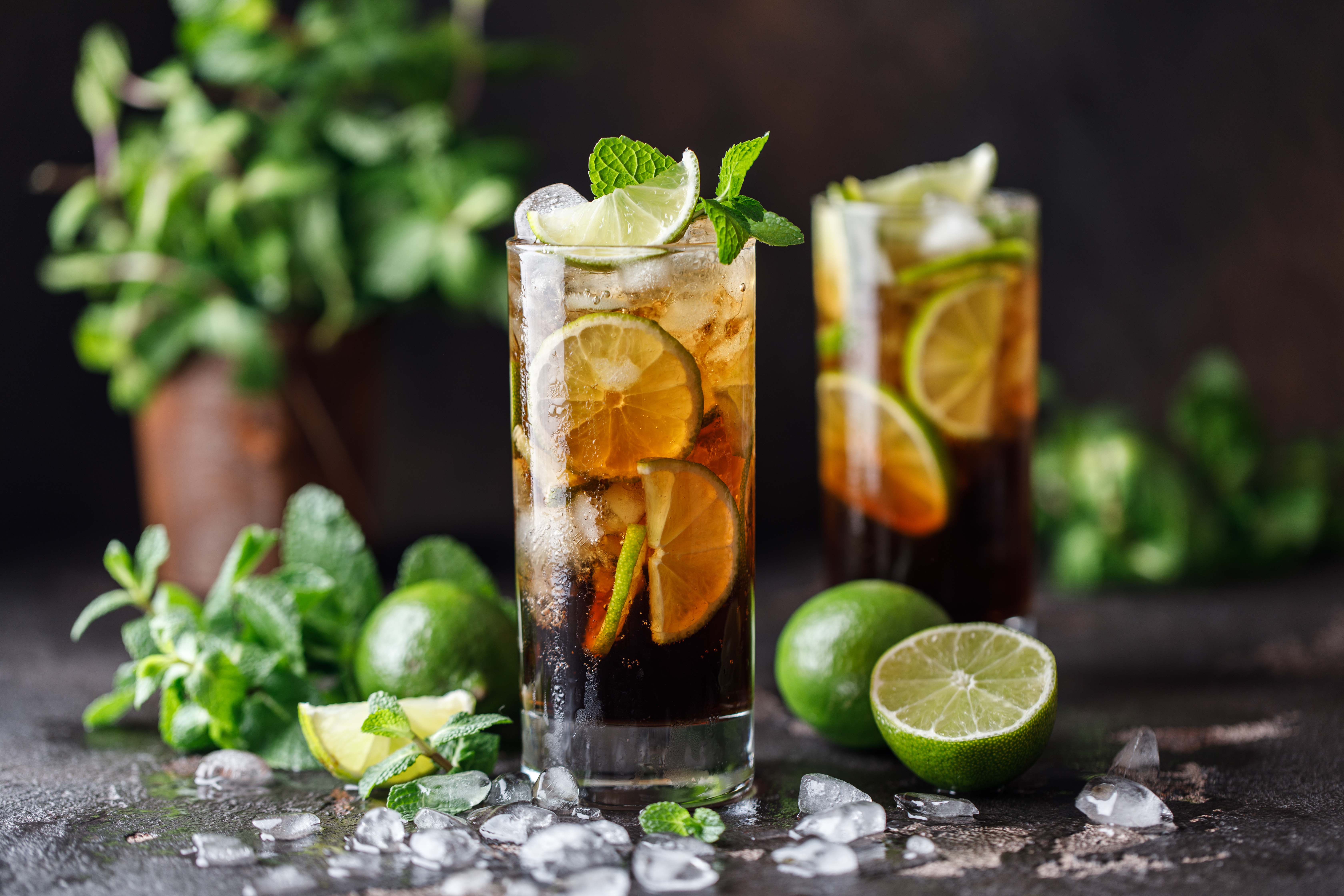 7 Best Mixers for Rums and Easy Rum Cocktail Recipes To Try Craft Gin