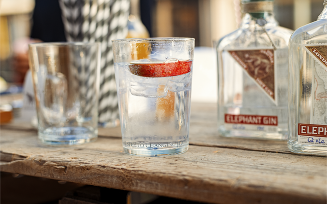elephant gin
