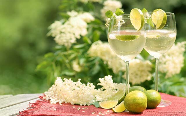 Sarpkling+Elderflower+Gin+Cocktails.jpg