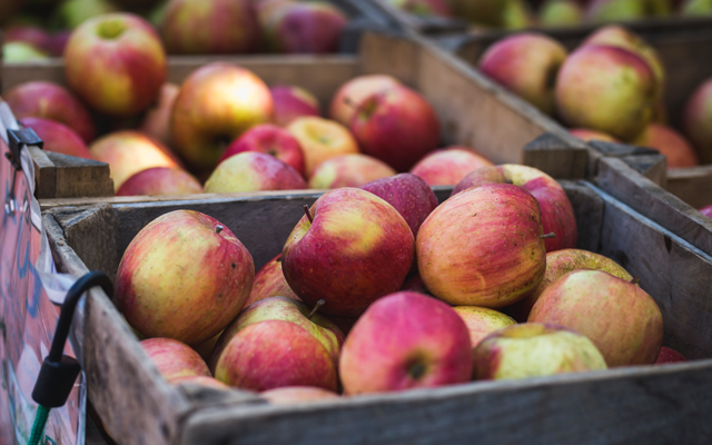 red+and+green+apples+in+a+crate.png