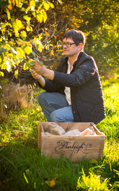 burleigh's gin