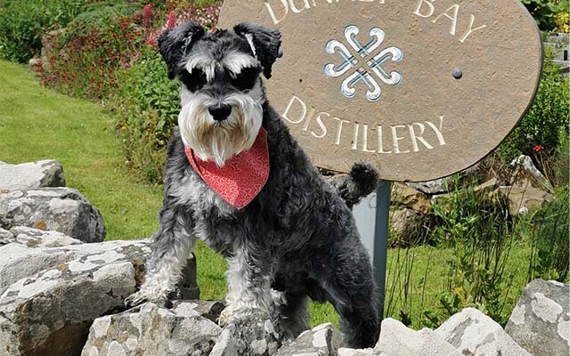 Mr Mackintosh by Rock Rose Gin Distillery's Sign