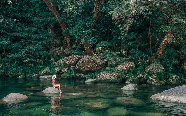 Daintree Rainforest, Tropical North Queensland, Australia.