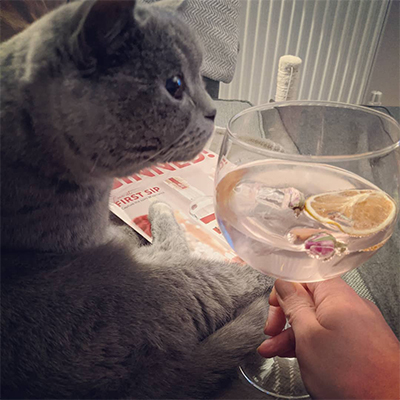 Nothing like an evening curled up with a purr-fect G&T! Craft Gin Club member Liz T. and her feline friend