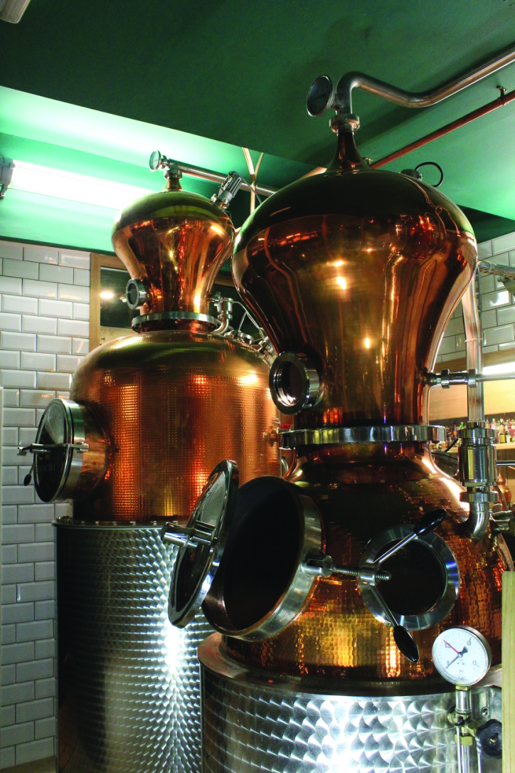 Stills Nov 16.jpg