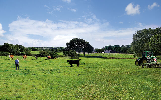Holmes Farm, Brindle