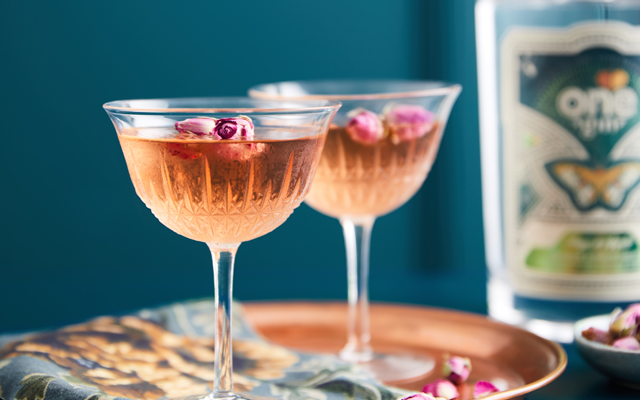 Gin that blooms 