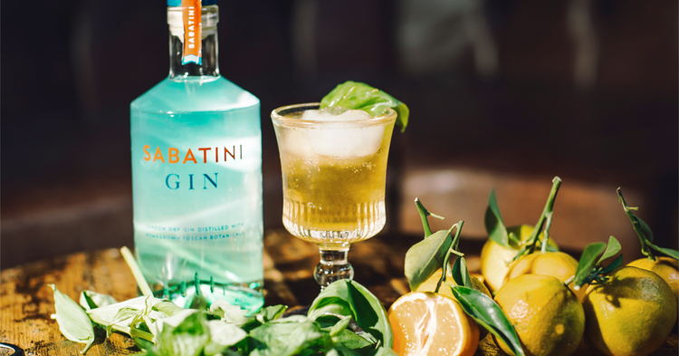 Clementine Sabatini Gin Cocktail