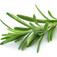 rosemary
