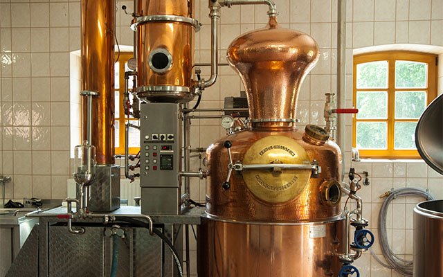 Elephant Gin review