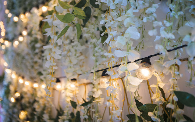 Summer Garden Party Fairy Lights.jpg