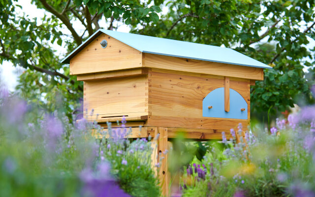 Beehive for honey with gin