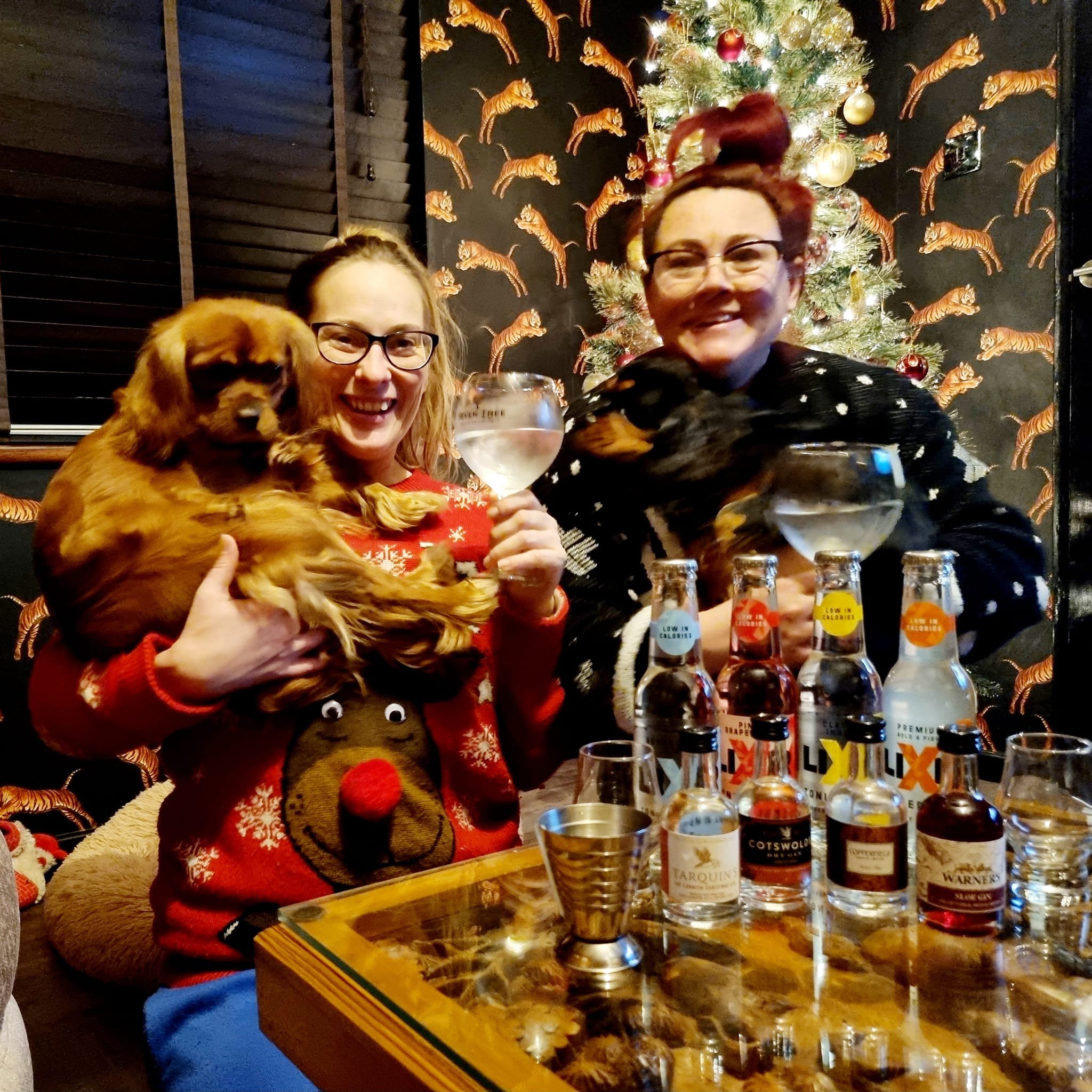 Gin pals 