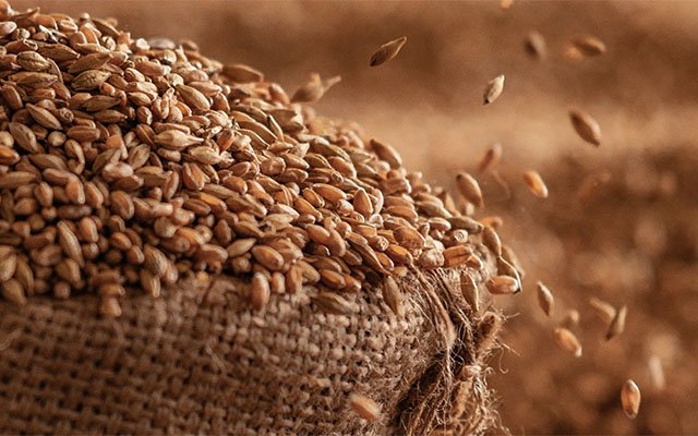 Whiskey malting process