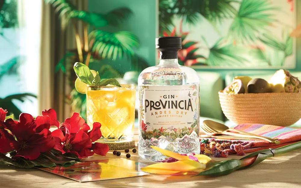 Gin Provincia Andes Dry