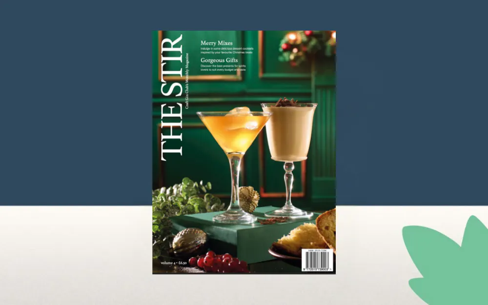 The Stir Magazine December 2024
