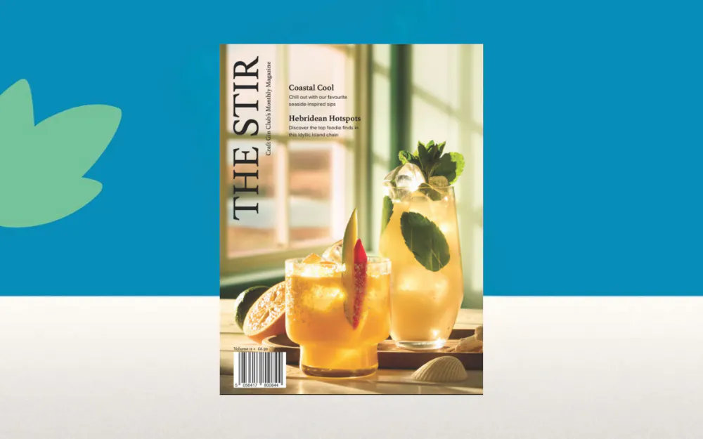 The Stir Magazine July 2025